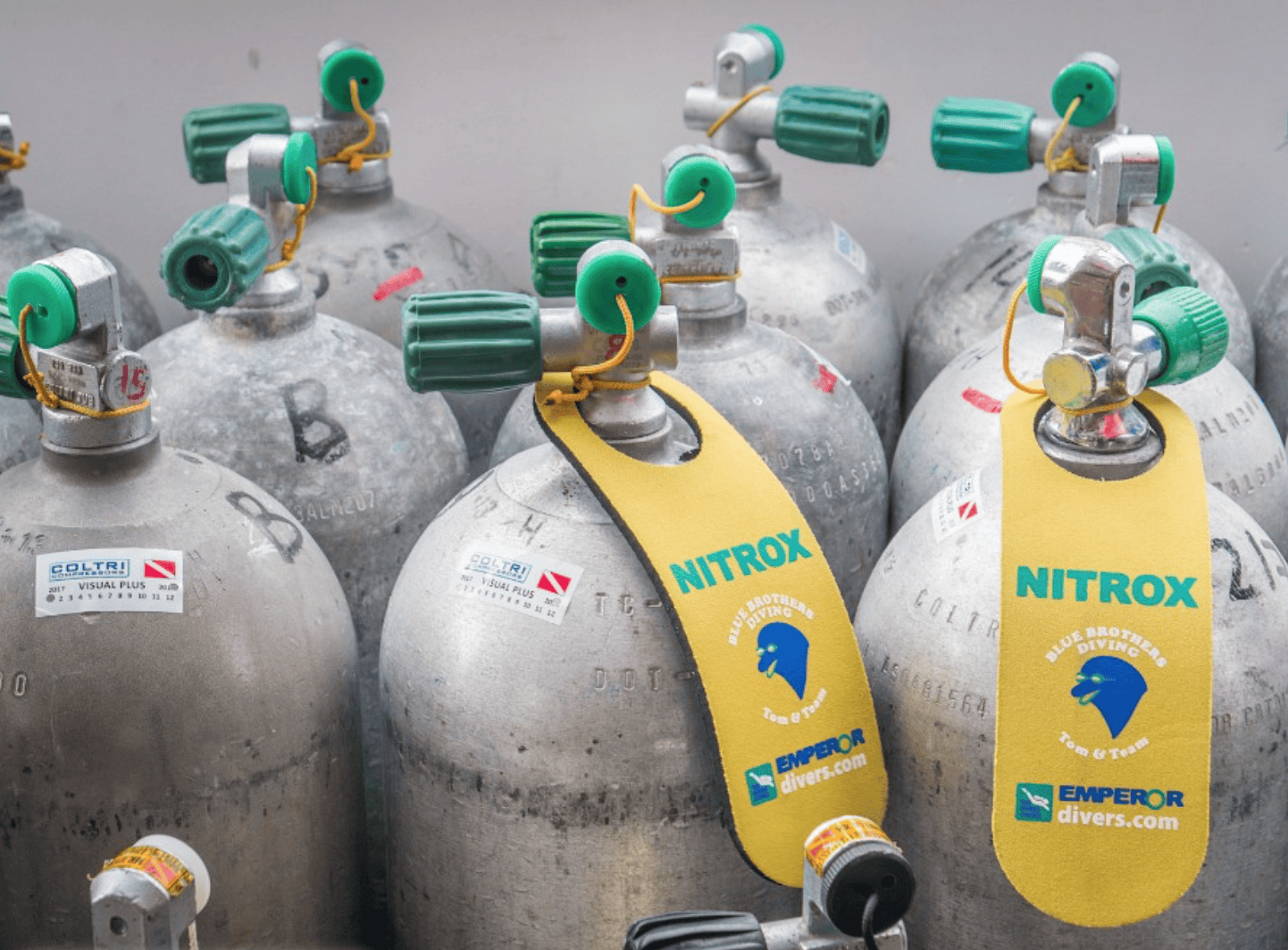 Capture decran 2024 03 01 a 02.09.25