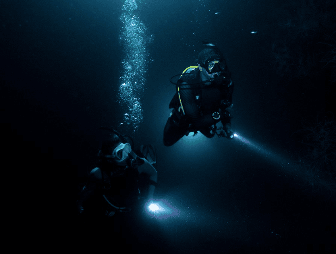 Capture decran 2024 03 01 a 02.10.16