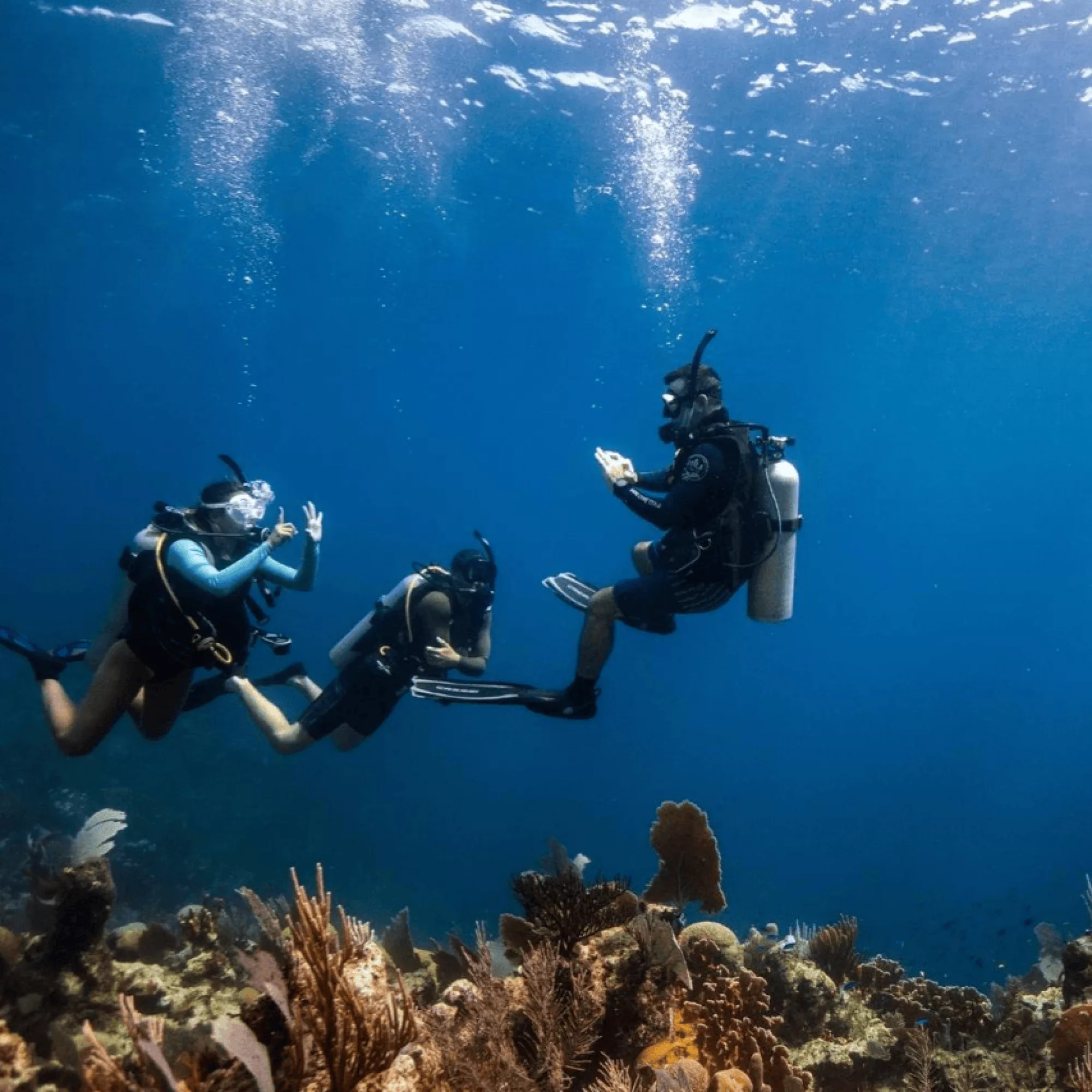 Formations PADI : du débutant au Divemaster, le guide complet 2026