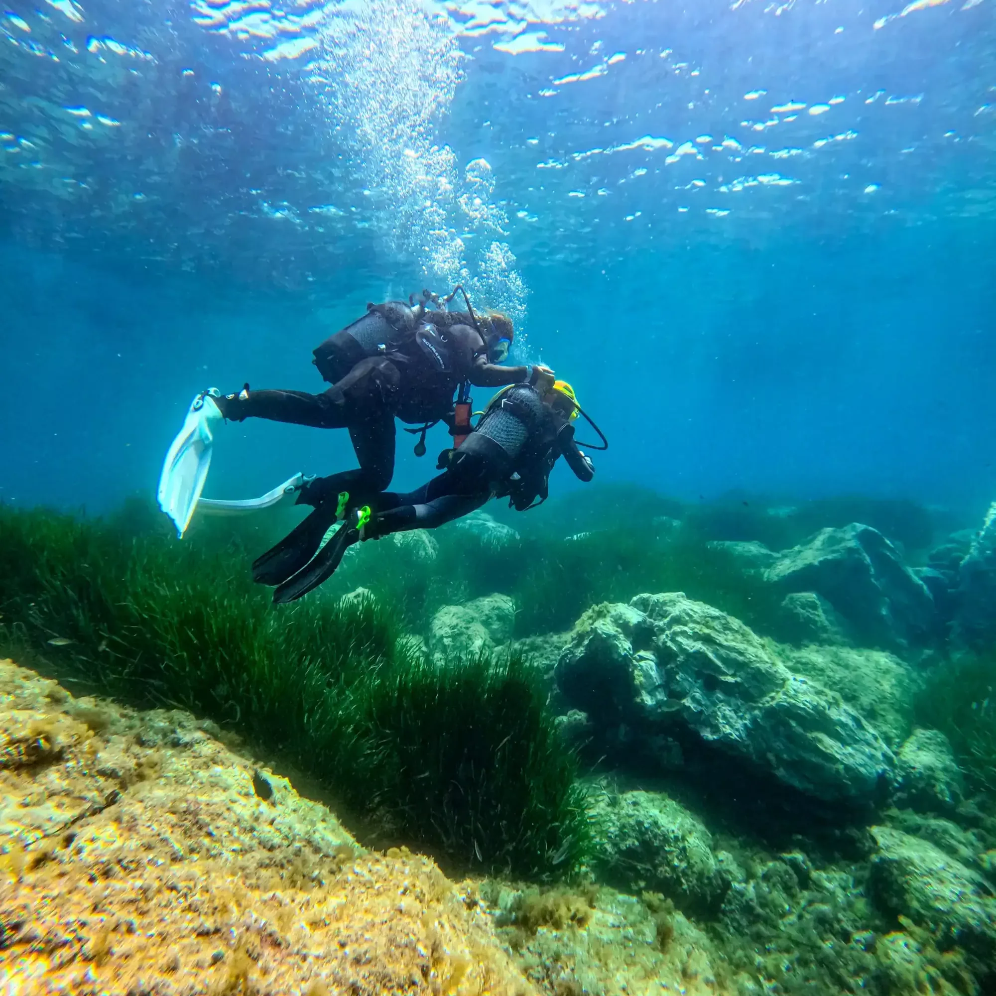 Baptême de plongée : tout savoir avant sa première immersion