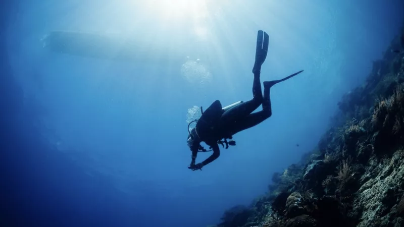 wmremove transformed 3