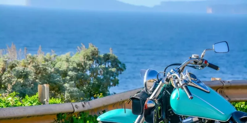 wmremove-transformed-2